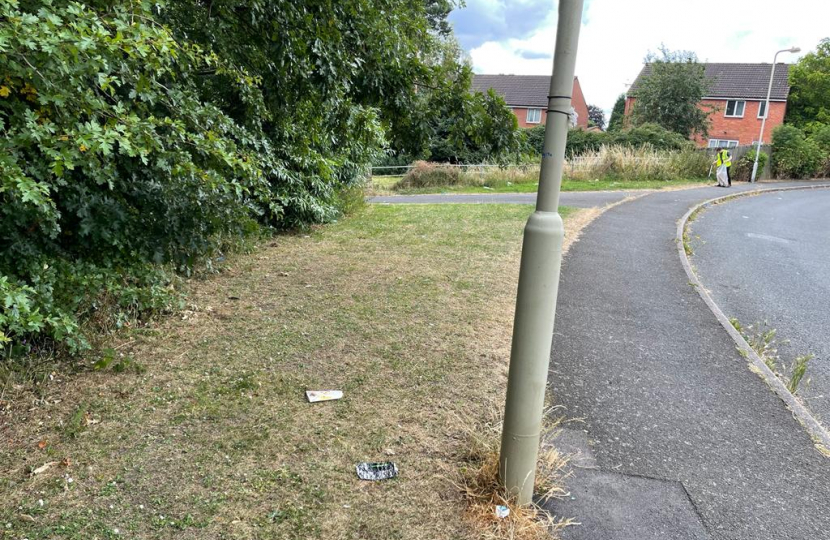 After: the overgrown hedge has been cut back