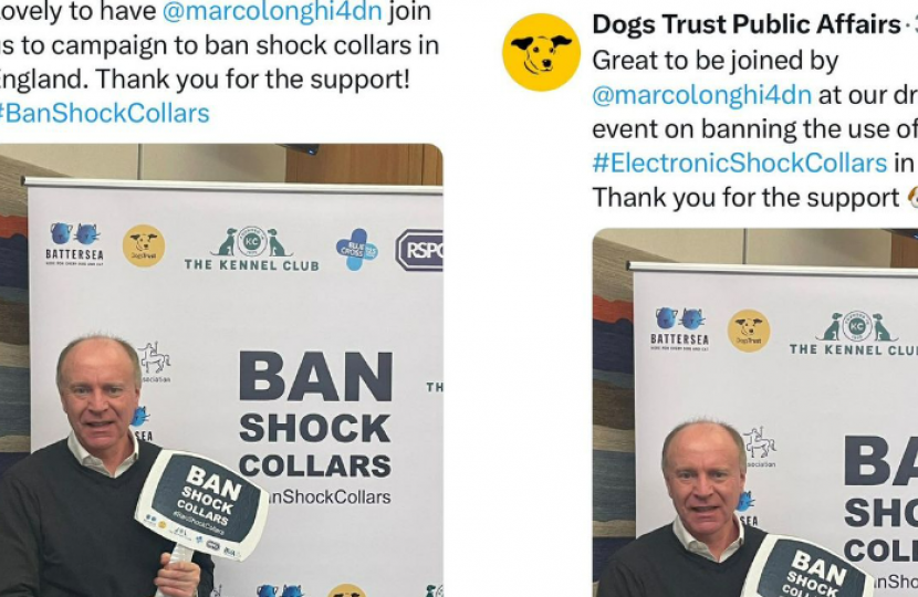 Banning shock collars