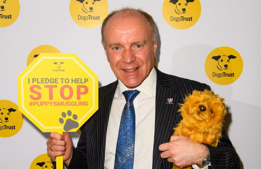 Dogs Trust