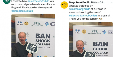 Banning shock collars